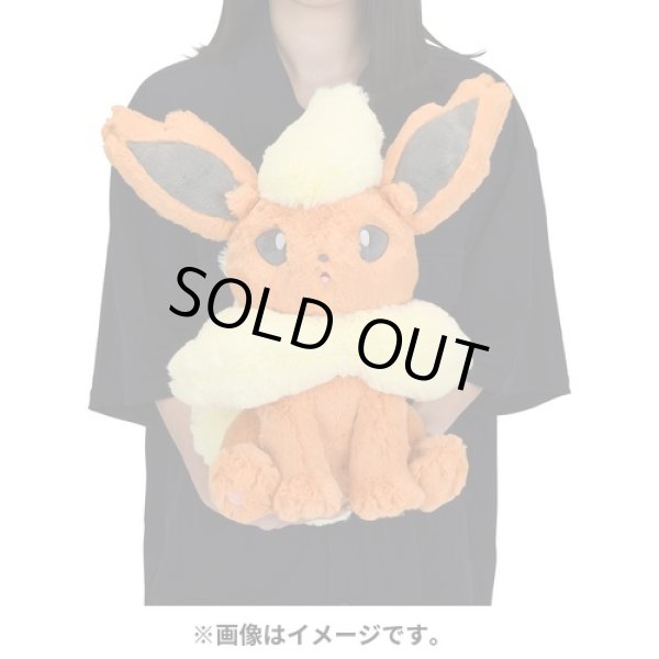 Photo5: Pokemon Center 2022 FUWA-FUWA Fluffy Plush doll Flareon (5)