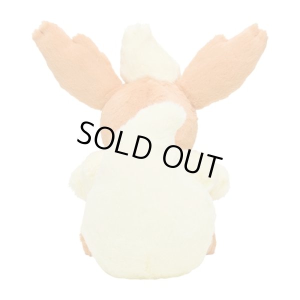 Photo4: Pokemon Center 2022 FUWA-FUWA Fluffy Plush doll Flareon (4)