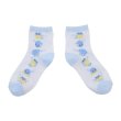 Photo1: Pokemon Center 2022 Socks for Women 23 - 25 cm 1 Pair Middle Spheal (1)