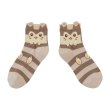 Photo1: Pokemon Center 2022 Socks for Women 23 - 25 cm 1 Pair Middle Furret (1)