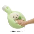 Photo5: Pokemon Center 2022 Mochiricchi Fluffy Plush doll Budew (5)