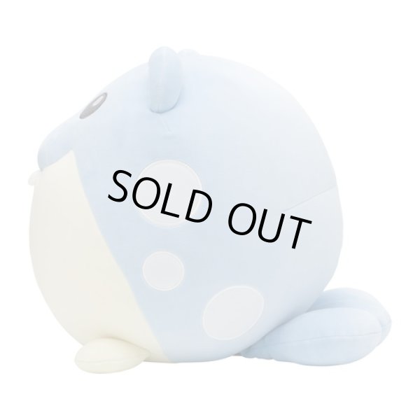 Photo3: Pokemon Center 2022 Mochiricchi Fluffy Plush doll Spheal (3)