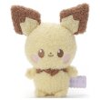 Photo1: Pokemon 2022 Peaceful Place Poke-Peace Plush doll Pichu (1)