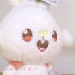 Photo5: Pokemon 2022 Peaceful Place Poke-Peace Plush doll Scorbunny (5)