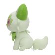 Photo5: Pokemon Center 2022 Life-size Sprigatito Plush doll (5)