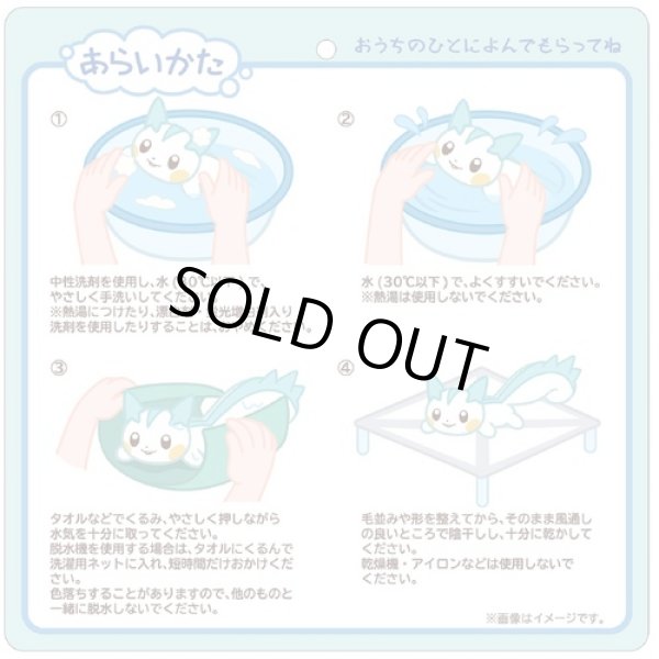 Photo4: Pokemon Center 2022 Washable Plush doll Pachirisu (4)