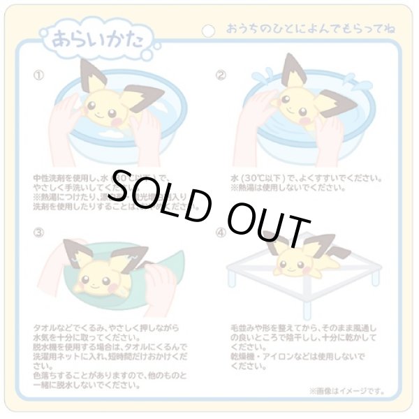 Photo4: Pokemon Center 2022 Washable Plush doll Pichu (4)