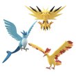 Photo5: BANDAI POKEMON SCALE WORLD Kanto edition "Articuno Zapdos Moltres" 1/20 Figure (5)