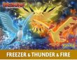 Photo3: BANDAI POKEMON SCALE WORLD Kanto edition "Articuno Zapdos Moltres" 1/20 Figure (3)