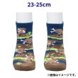 Photo2: Pokemon Center 2023 Socks for Women 23 - 25 cm 1 Pair Short Paldean Wooper (2)