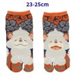 Photo1: Pokemon Center 2023 Socks for Women 23 - 25 cm 1 Pair Two Fingers Tabi Hisuian Growlithe (1)