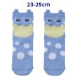 Photo1: Pokemon Center 2023 Socks for Women 23 - 25 cm 1 Pair Middle Spheal (1)