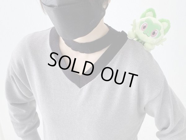 Photo7: Pokemon Center 2023 Nya! Nya! Plush doll with clip Sprigatito (7)