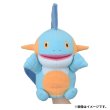 Photo7: Pokemon Center 2023 DOWASURE Amnesia Marshtomp Hand Puppet Plush doll (7)