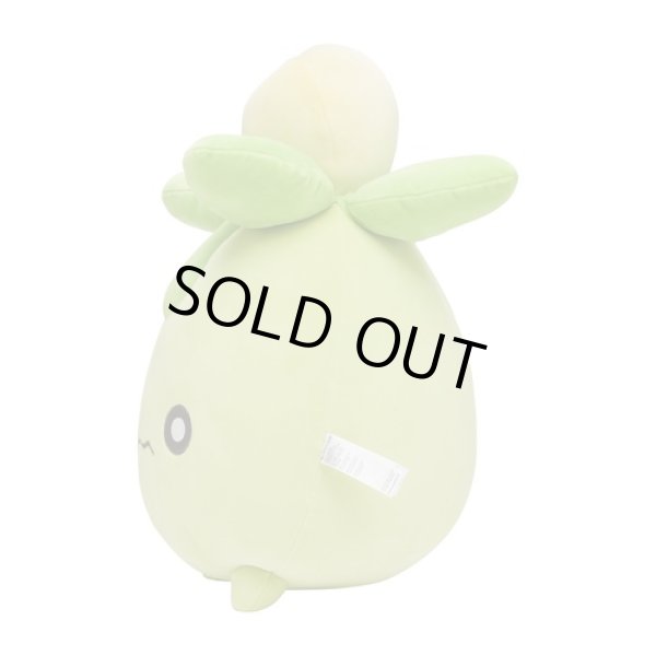 Photo3: Pokemon Center 2023 Mochiricchi Fluffy Plush doll Smoliv (3)