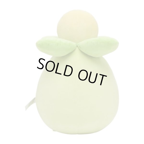 Photo4: Pokemon Center 2023 Mochiricchi Fluffy Plush doll Smoliv (4)