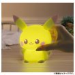 Photo5: Pokemon 2023 Peaceful Place Poke-Peace Puni Kyun light Pikachu (5)