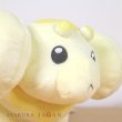 Photo6: Pokemon Center 2023 Fidough Plush doll (6)