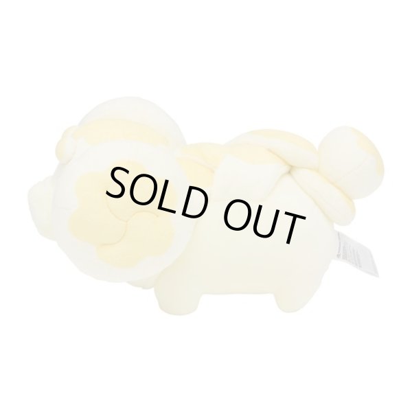 Photo3: Pokemon Center 2023 Fidough Plush doll (3)