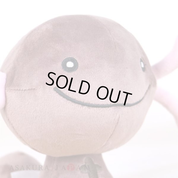 Photo6: Pokemon Center 2023 Paldean Wooper Plush doll (6)