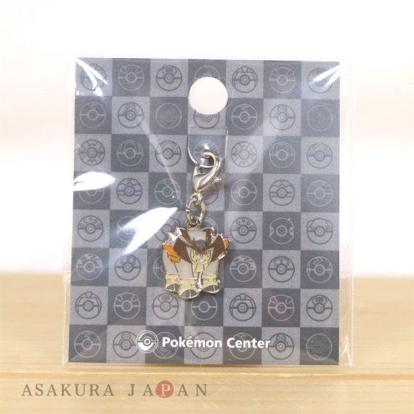 Photo3: Pokemon Center 2023 Metal Charm # 639 Terrakion (3)