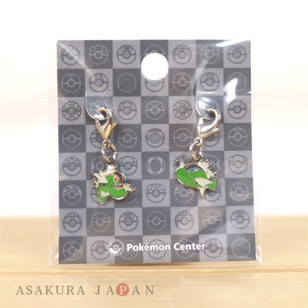 Photo3: Pokemon Center 2023 Metal Charm # 550 Basculin (3)