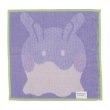 Photo2: Pokemon Center 2023 Hand towel Handkerchief Goomy (2)