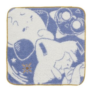 Pokemon 2016 ALL STAR COLLECTION Shinx Plush Toy SAN-EI