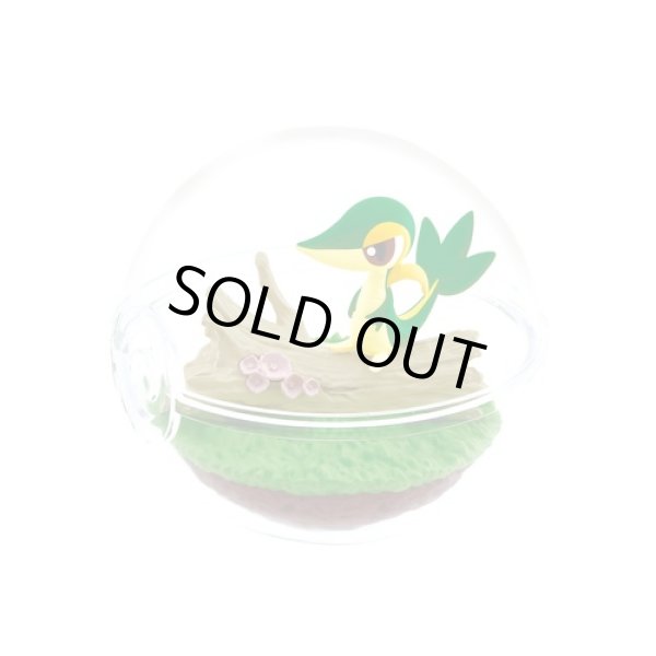 Photo4: Pokemon 2023 Terrarium Collection vol.12 set of 6 Figure Complete set Mini Figure (4)