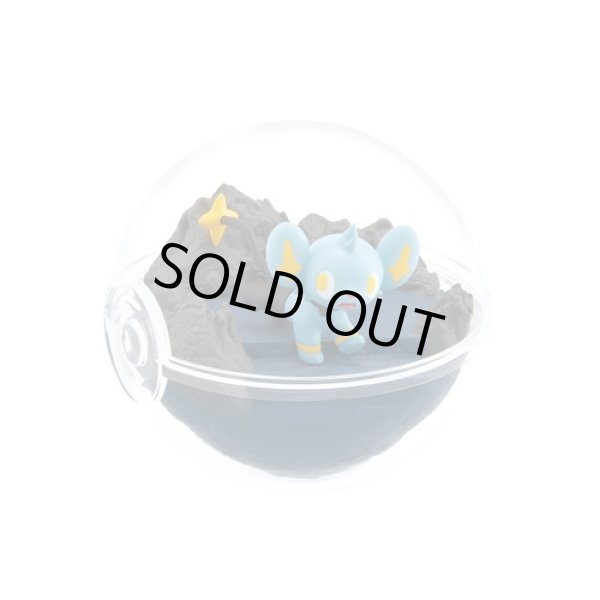 Photo6: Pokemon 2023 Terrarium Collection vol.12 set of 6 Figure Complete set Mini Figure (6)