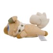 Photo3: Pokemon Center 2023 Washable Plush doll Rockruff (3)