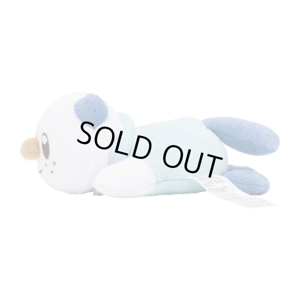 Photo3: Pokemon Center 2023 Washable Plush doll Oshawott (3)