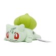 Photo1: Pokemon Center 2023 Washable Plush doll Bulbasaur (1)