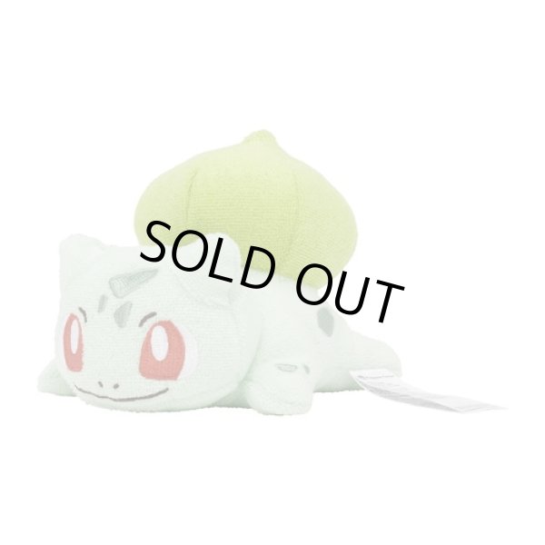 Photo1: Pokemon Center 2023 Washable Plush doll Bulbasaur (1)