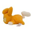 Photo3: Pokemon Center 2023 Washable Plush doll Pawmi (3)