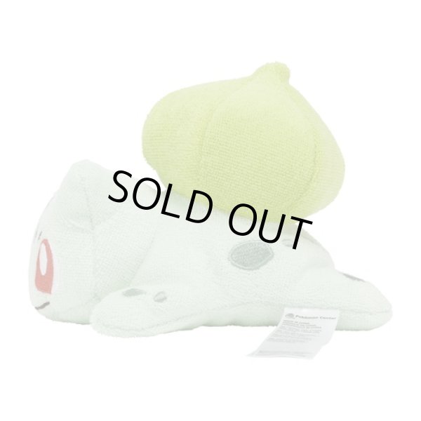 Photo3: Pokemon Center 2023 Washable Plush doll Bulbasaur (3)