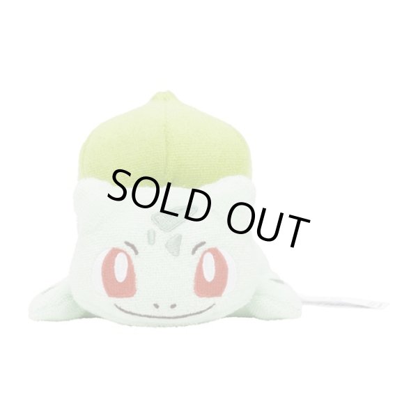 Pokemon Center 2023 Washable Plush doll Bulbasaur