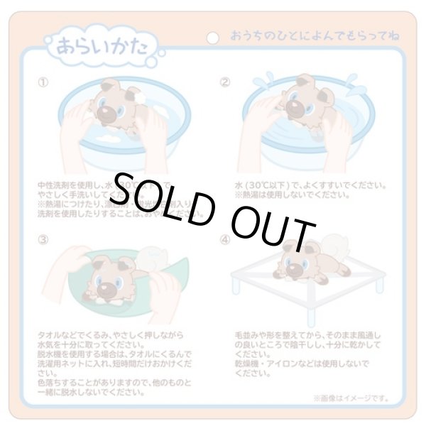 Photo5: Pokemon Center 2023 Washable Plush doll Rockruff (5)