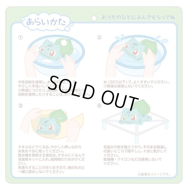 Photo5: Pokemon Center 2023 Washable Plush doll Bulbasaur (5)