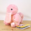 Photo4: Pokemon Center 2018 Pokemon fit Mini Plush #108 Lickitung doll Toy (4)