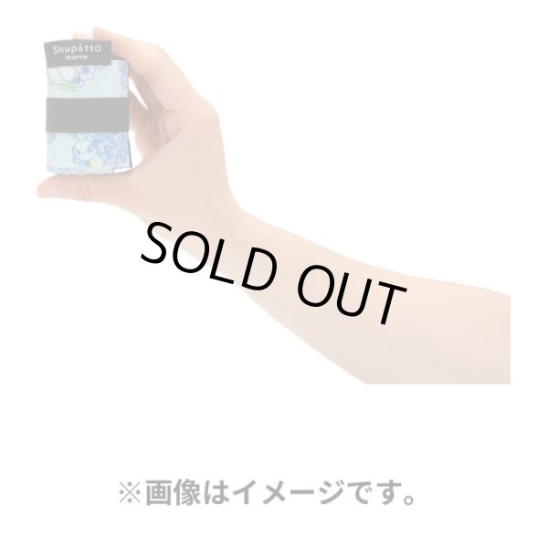 Photo3: Pokemon Center 2023 Shupatto Folding Compact bag S size Baby Blue Eyes (3)