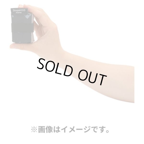 Photo3: Pokemon Center 2023 Shupatto Folding Compact bag S size COOL x METAL (3)