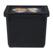 Photo5: Pokemon Center 2023 Paldea Spooky Halloween Mini Container Storage Box Pikachu (5)