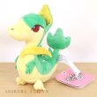 Photo4: Pokemon Center 2023 Pokemon fit Mini Plush #496 Servine doll Toy (4)