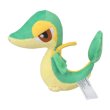 Photo2: Pokemon Center 2023 Pokemon fit Mini Plush #495 Snivy doll Toy (2)