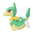 Photo2: Pokemon Center 2023 Pokemon fit Mini Plush #496 Servine doll Toy (2)