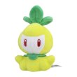 Photo1: Pokemon Center 2023 Pokemon fit Mini Plush #548 Petilil doll Toy (1)