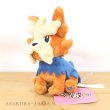 Photo4: Pokemon Center 2023 Pokemon fit Mini Plush #507 Herdier doll Toy (4)