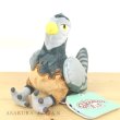 Photo4: Pokemon Center 2023 Pokemon fit Mini Plush #521 Unfezant Female doll Toy (4)