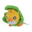 Photo1: Pokemon Center 2023 Pokemon fit Mini Plush #540 Sewaddle doll Toy (1)